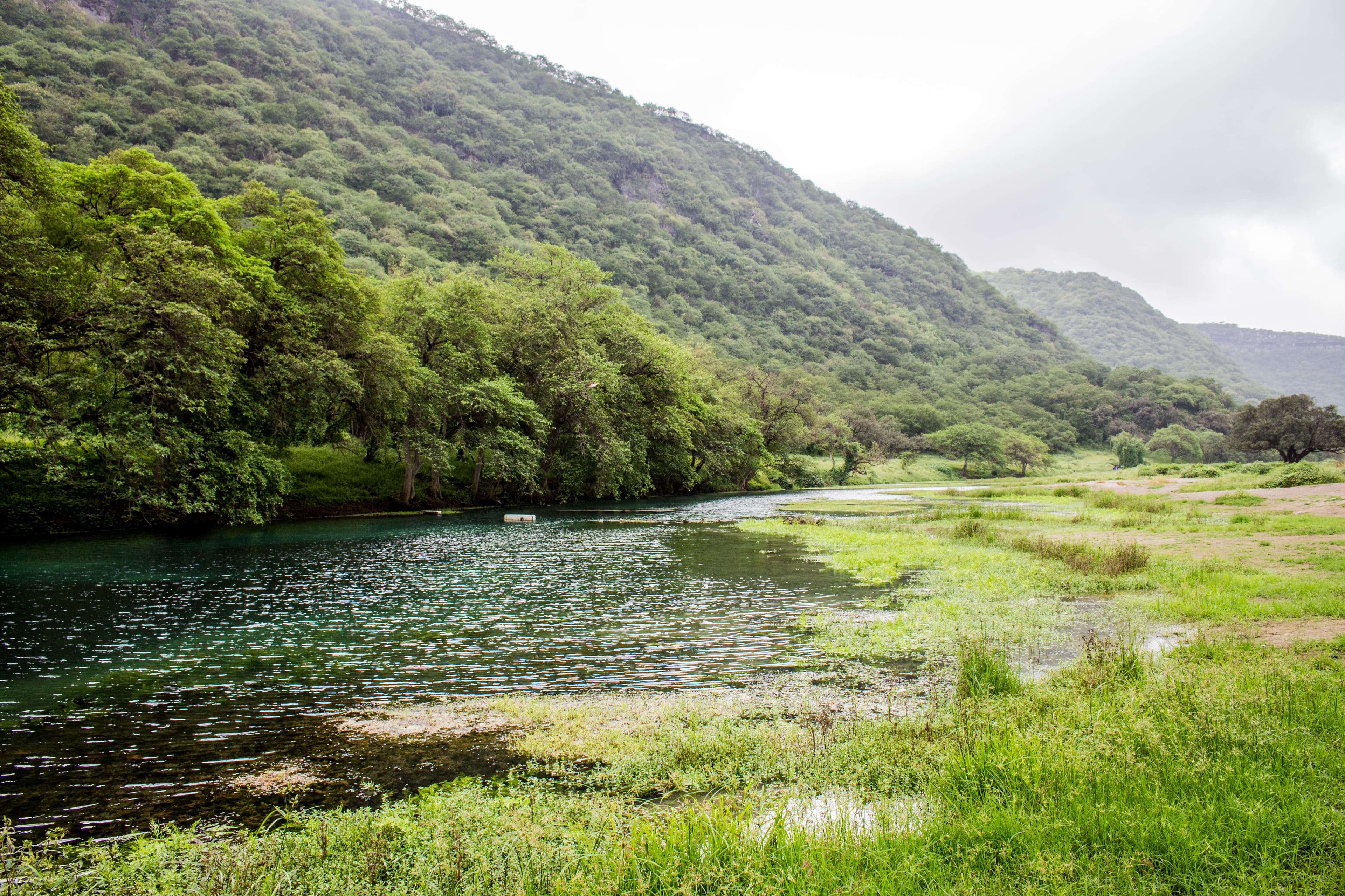 Dhofar