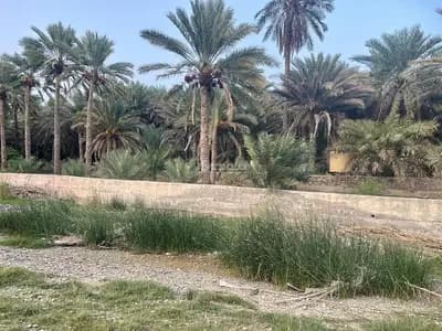 Residential Land For Sale in Bidbid, Al Dakhiliya