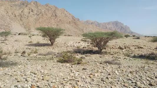 Residential Land For Sale in Al Amarat, Muscat