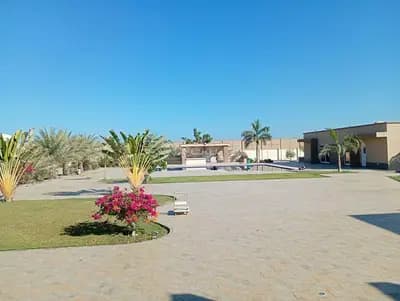 Residential Land For Sale in Qurayyat, Muscat