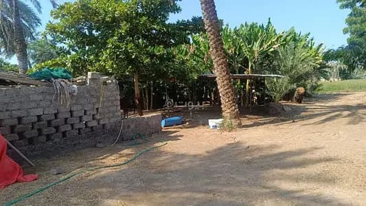 Residential Land For Sale in Ibra, Al Sharqiya