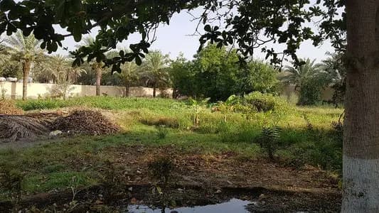 Residential Land For Sale in Al Seeb, Muscat