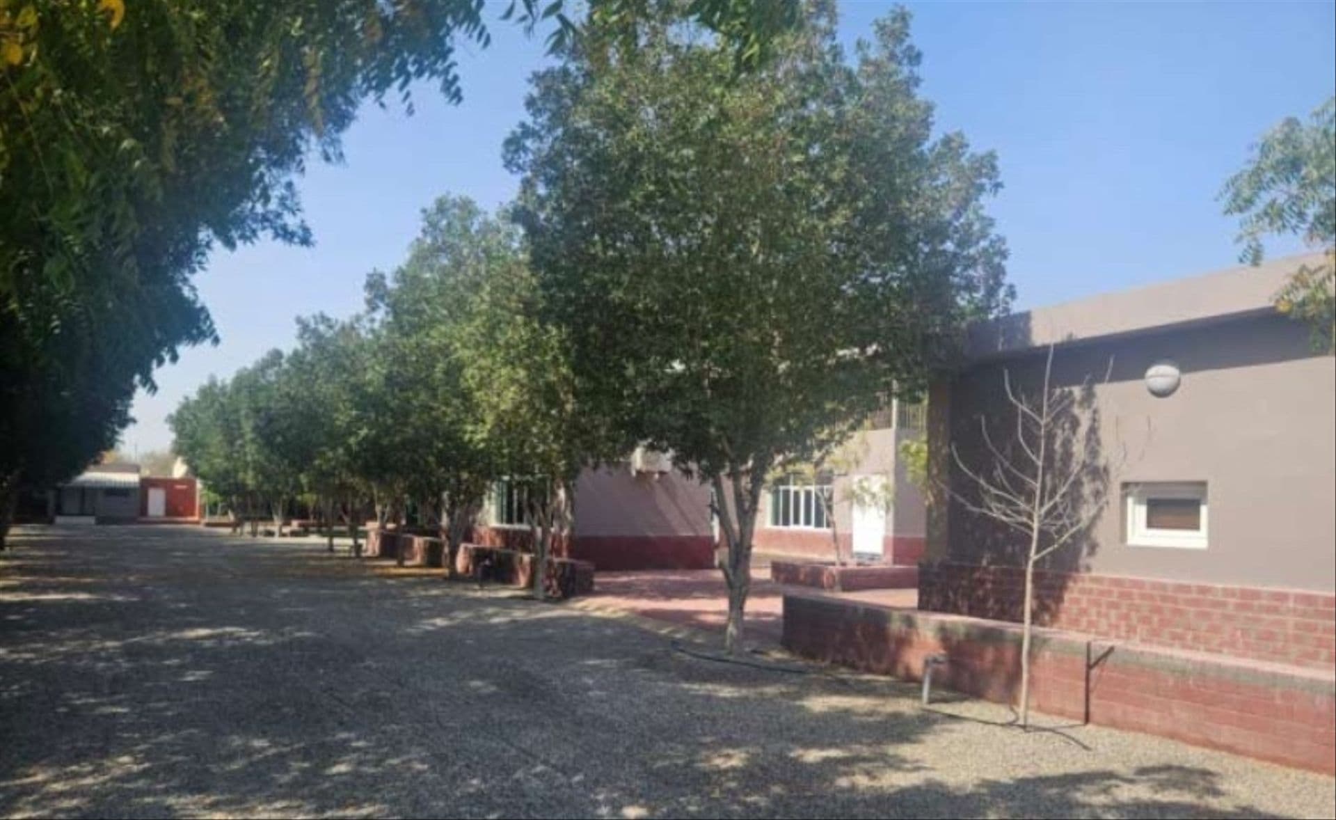 Farm in Al Uqdah, Barka