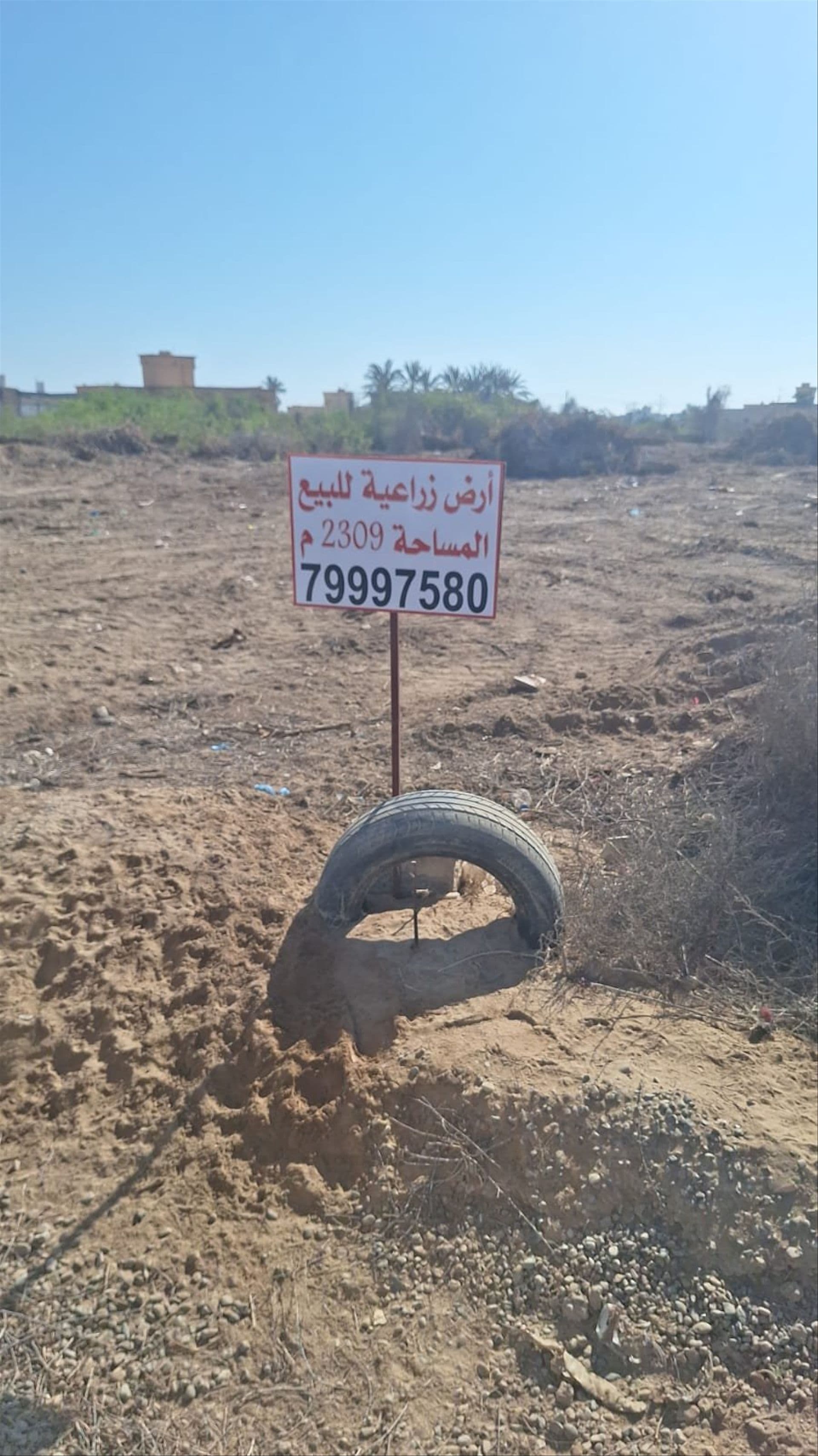 Farm in Hillat Al Kahahil, Saham