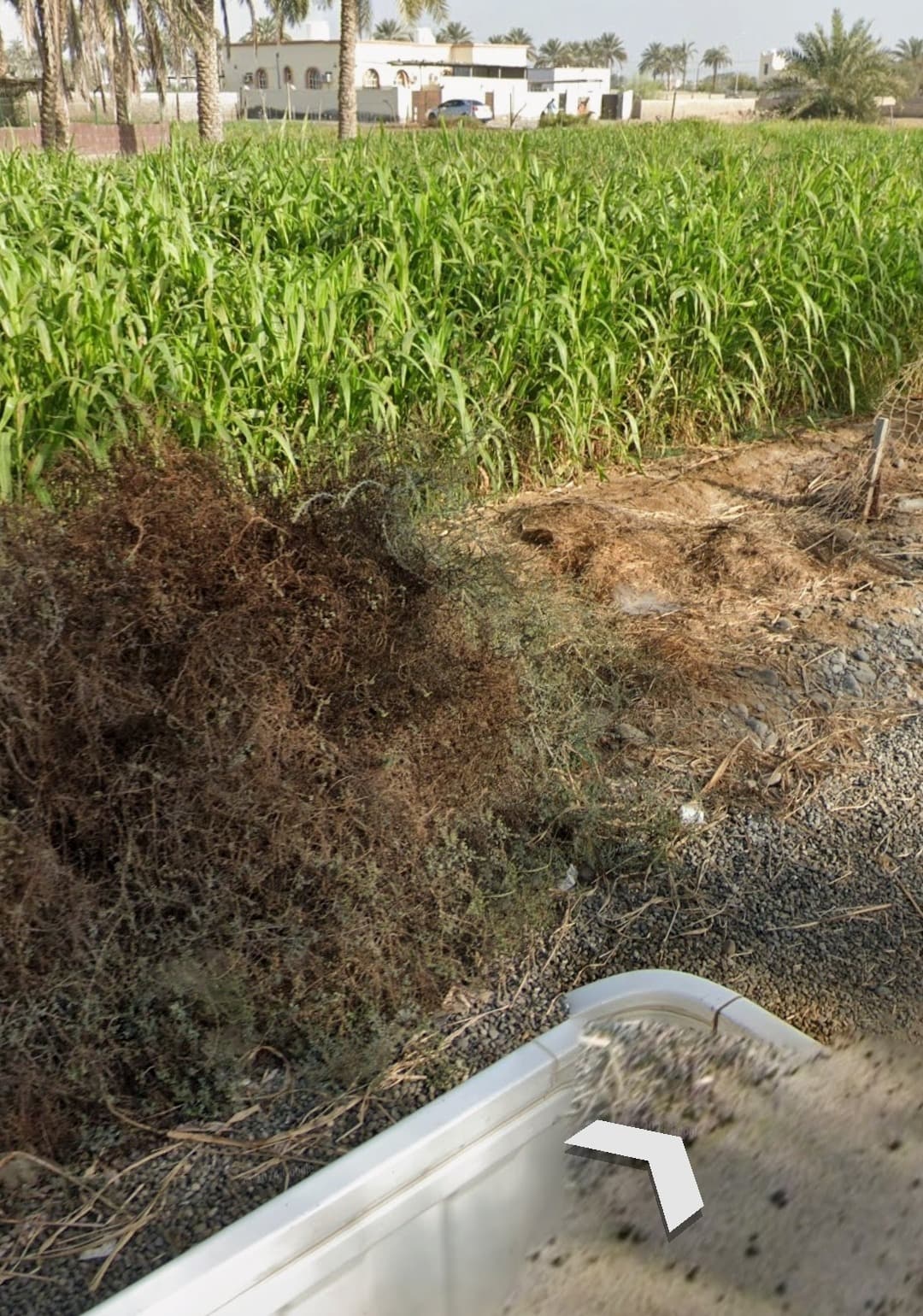 Farm in Al Musanaah, At Turayf