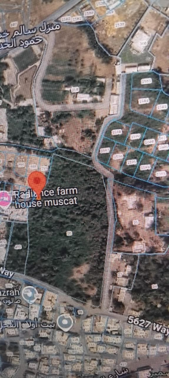 Farm in Al Seeb Jadida, Muscat