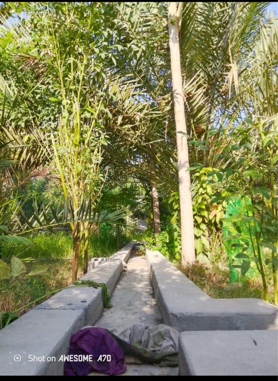 Farm in Samail, Samail