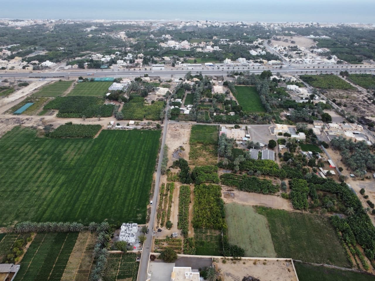 Farm in As Suwayq, Diyan Al Bu Said