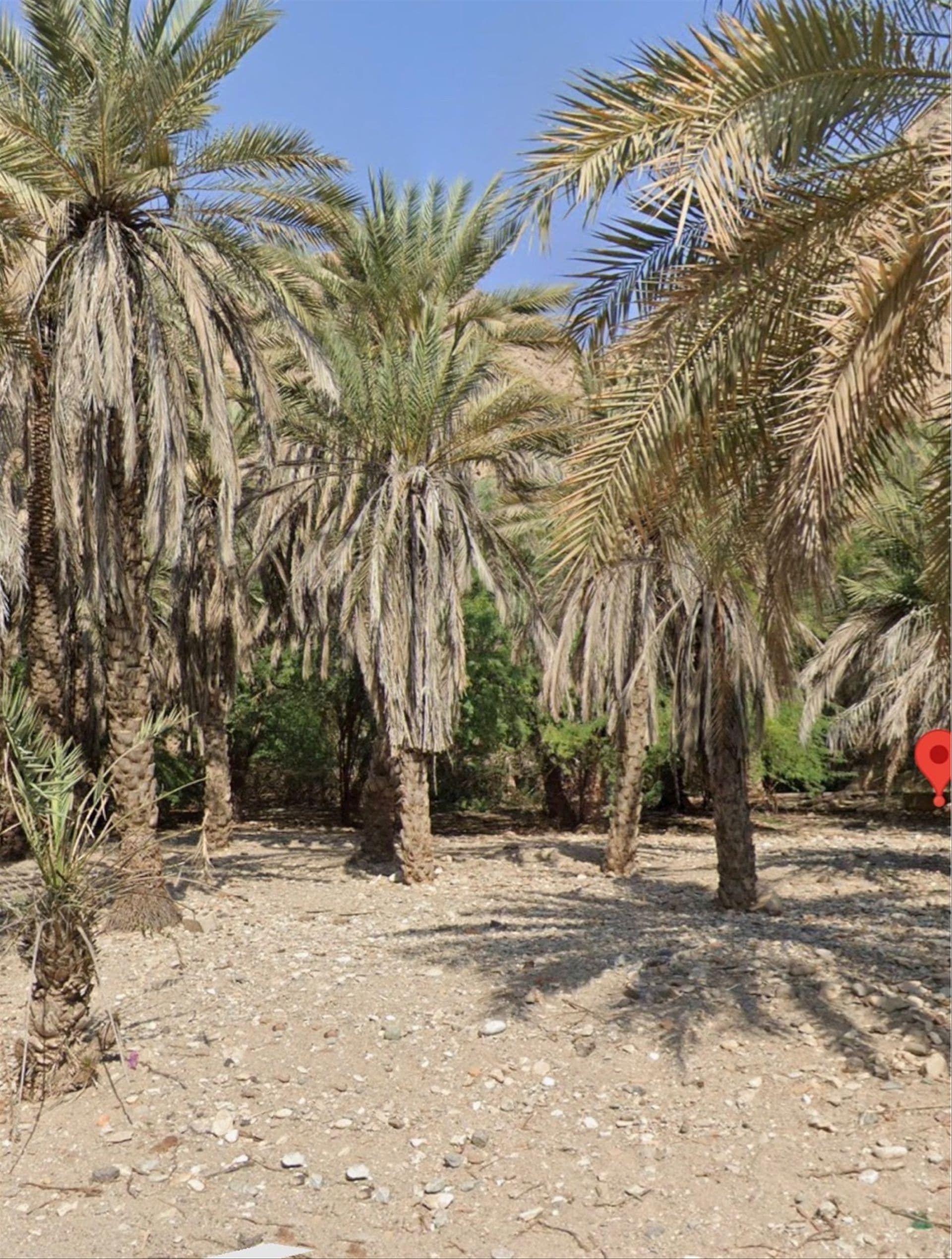 Other Land Types in Muscat, Muscat