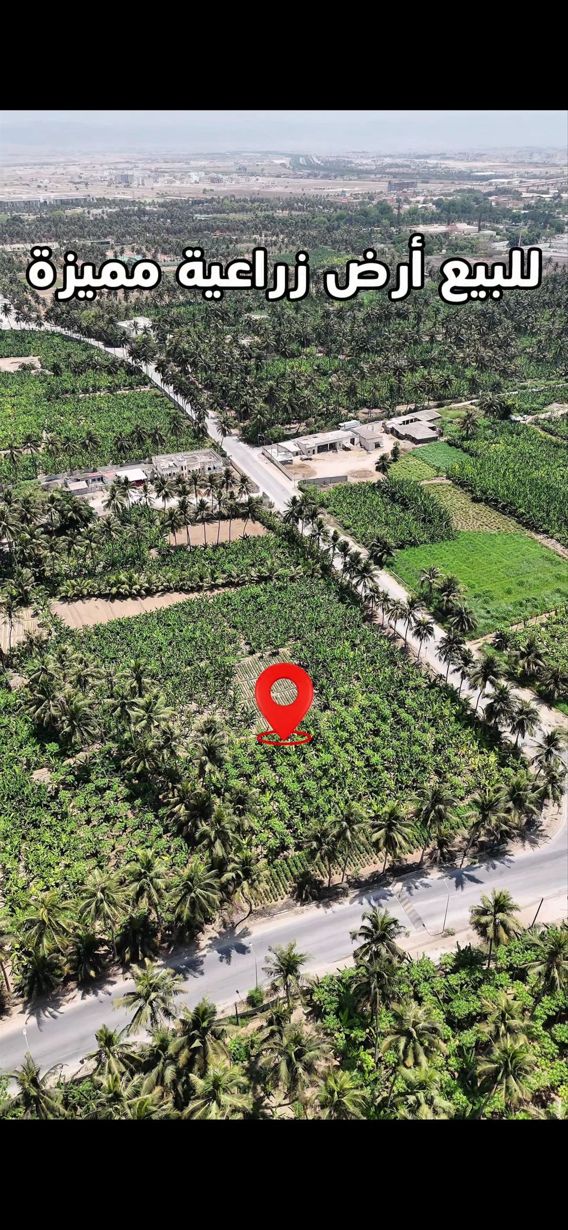 Farm in Dhofar, Al Matar North